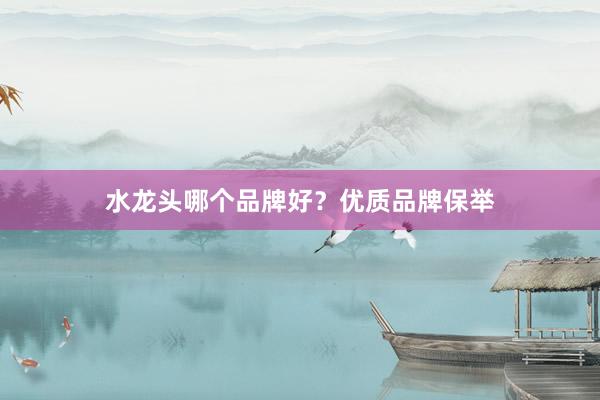 水龙头哪个品牌好？优质品牌保举